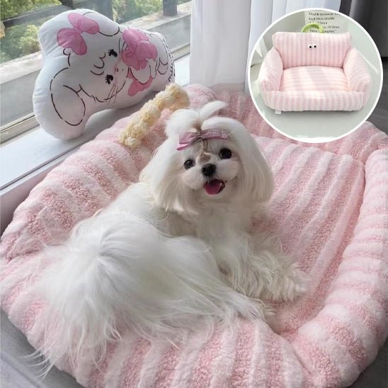 Canapé pour chien - Chien patte velours