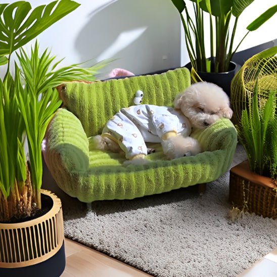 Canapé pour chien - Chien patte velours