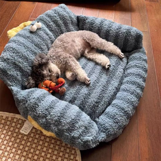Canapé pour chien - Chien patte velours
