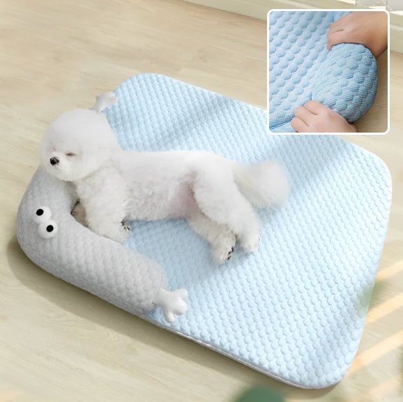 Coussin chien - Chien patte velours