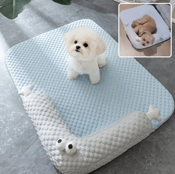 Coussin chien - Chien patte velours