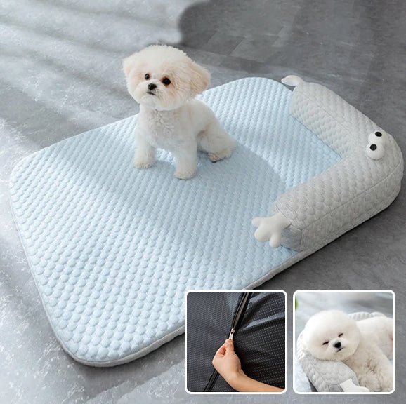 Coussin chien - Chien patte velours