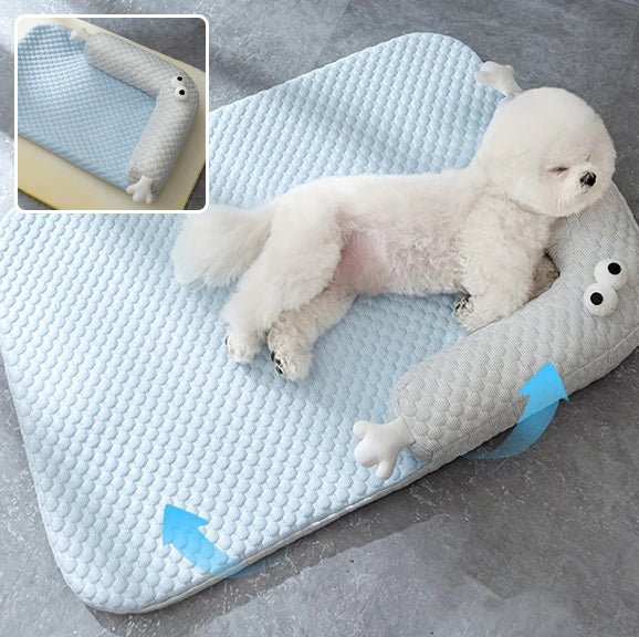 Coussin chien - Chien patte velours