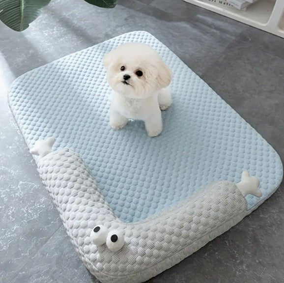 Coussin chien - Chien patte velours