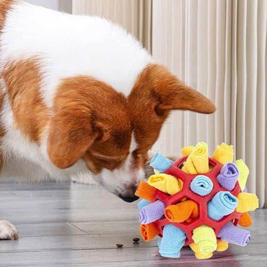 Tapis de fouille chien - Chien patte velours