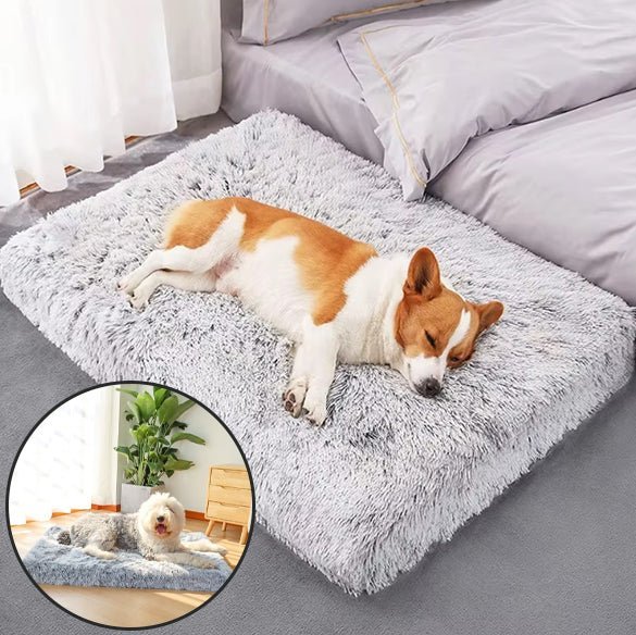 Tapis pour chien - Chien patte velours