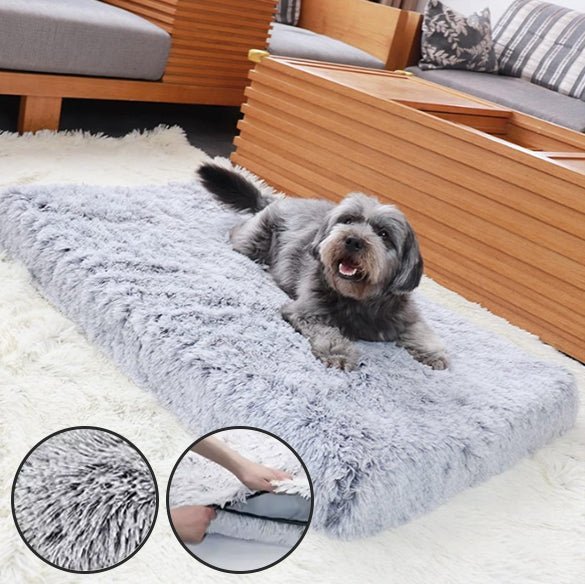 Tapis pour chien - Chien patte velours