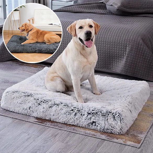 Tapis pour chien - Chien patte velours