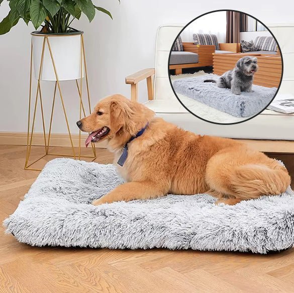 Tapis pour chien - Chien patte velours