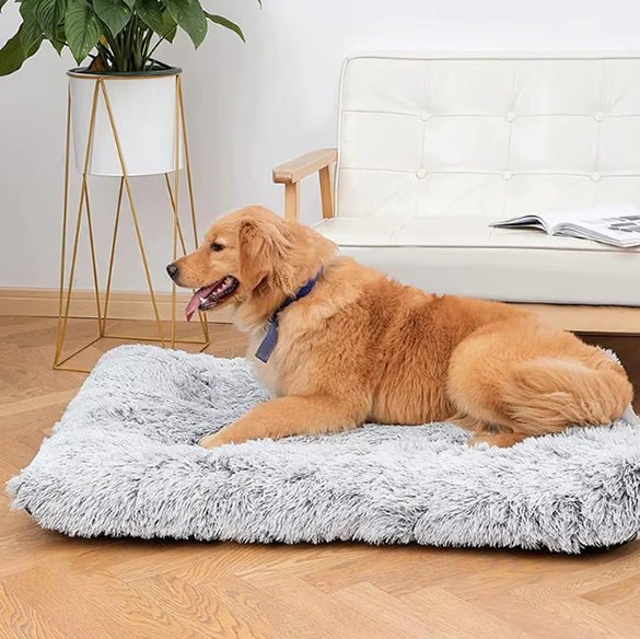 Tapis pour chien - Chien patte velours