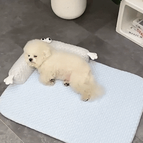 tapis- pour chien