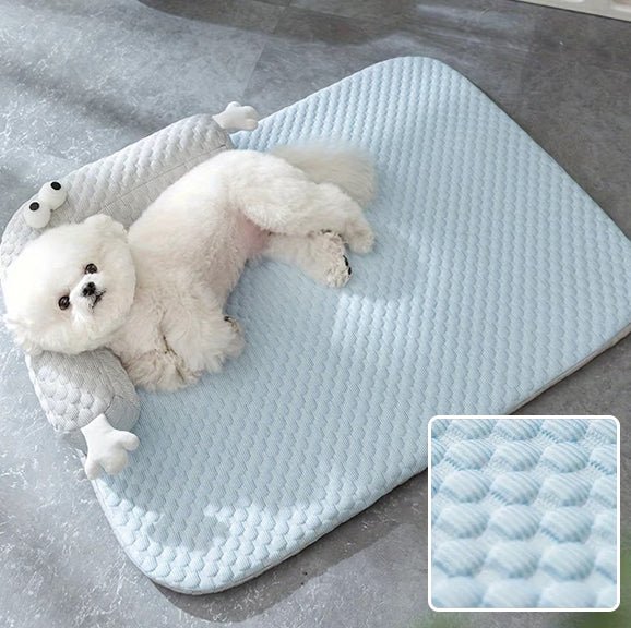 Coussin chien - Chien patte velours