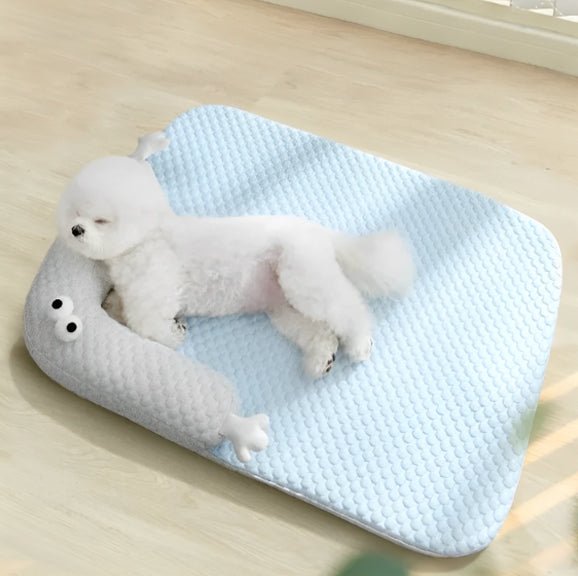 Coussin chien - Chien patte velours
