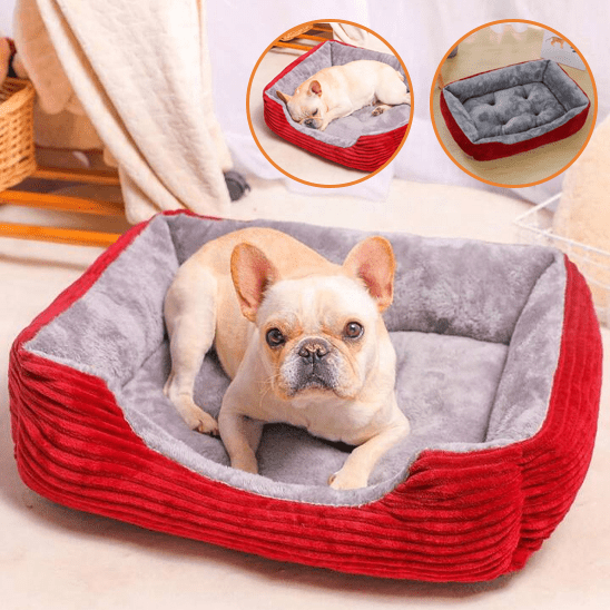 Paniervpour chien - Chien patte velours