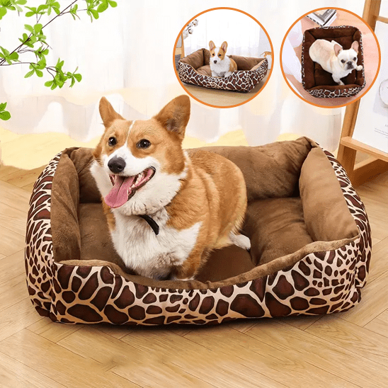Paniervpour chien - Chien patte velours