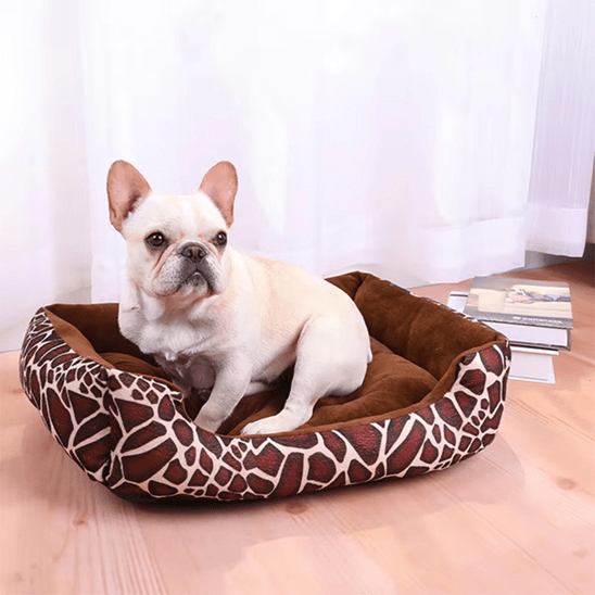Paniervpour chien - Chien patte velours