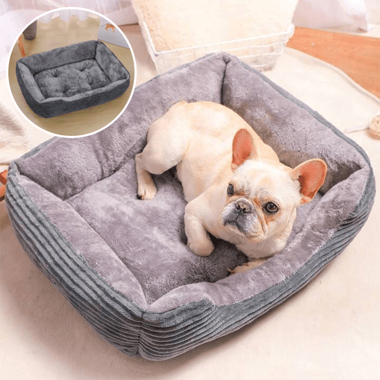 Paniervpour chien - Chien patte velours