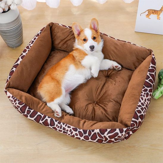 Paniervpour chien - Chien patte velours