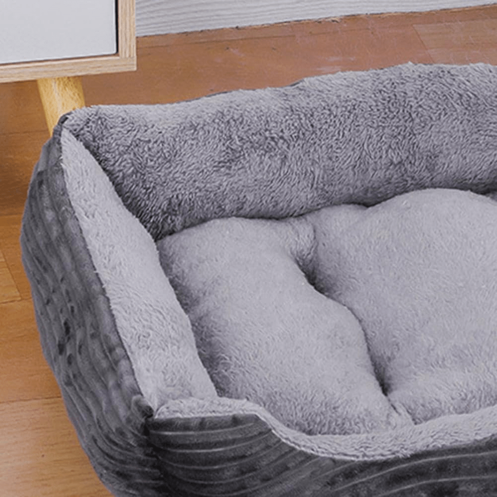 Paniervpour chien - Chien patte velours