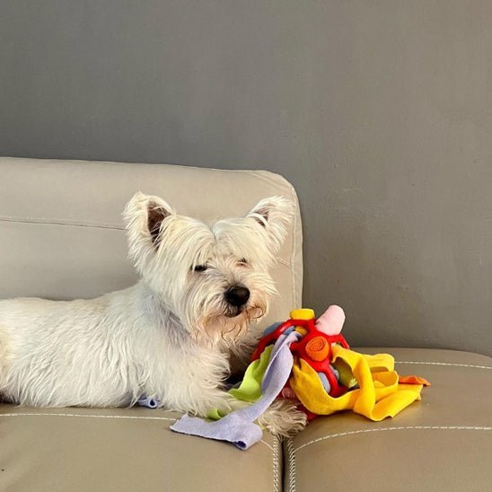 Tapis de fouille chien - Chien patte velours