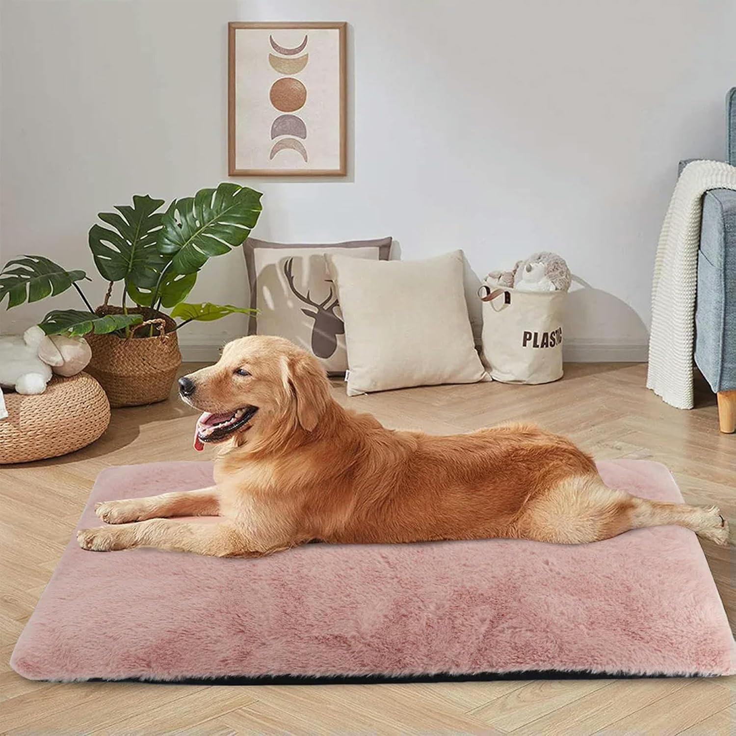 Tapis pour chien - Chien patte velours
