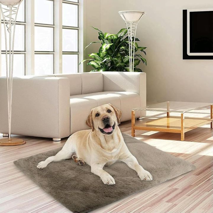 Tapis pour chien - Chien patte velours