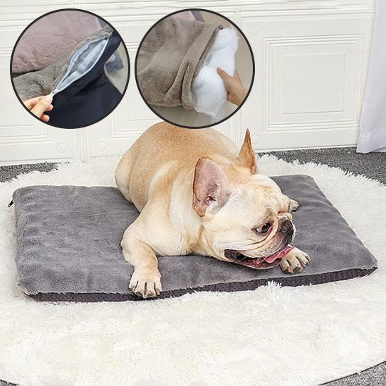 Tapis pour chien - Chien patte velours