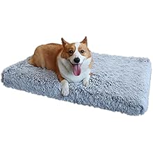 Tapis pour chien - Chien patte velours