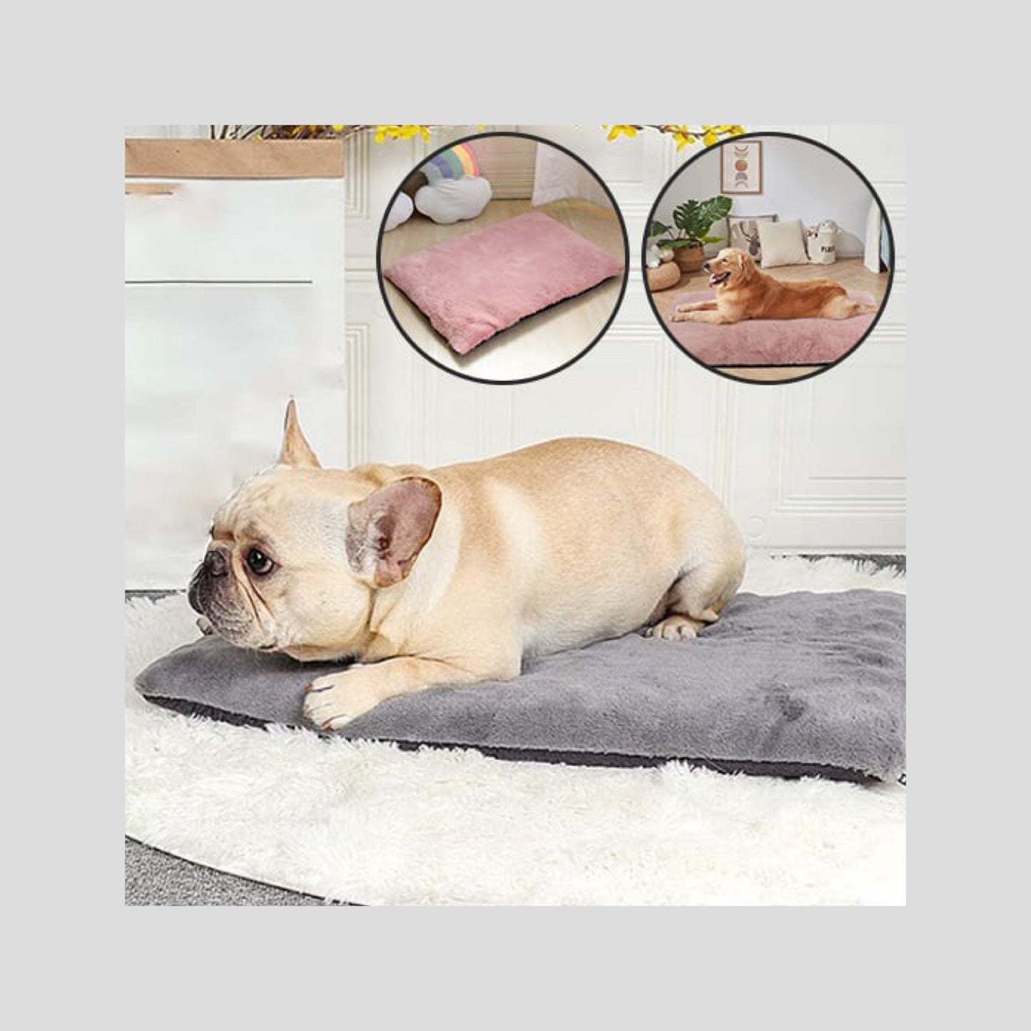 Tapis pour chien - Chien patte velours