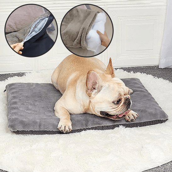 Tapis pour chien - Chien patte velours