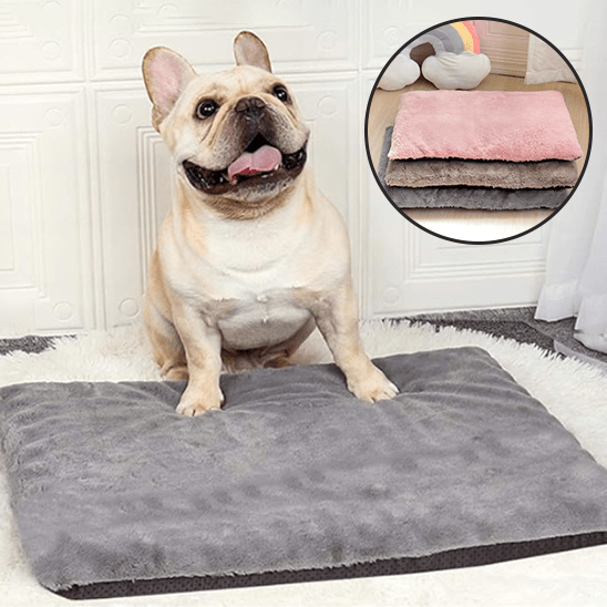 Tapis pour chien - Chien patte velours